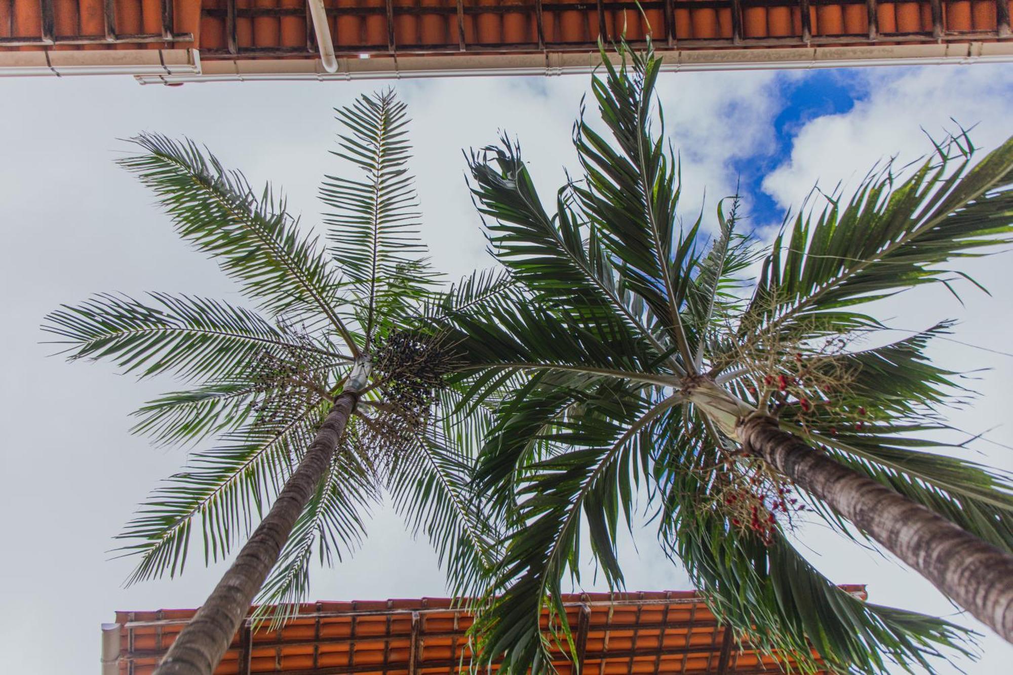 Pousada D' Areia บาร์เฮรินยัส ภายนอก รูปภาพ